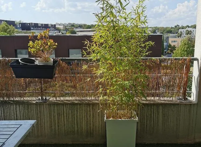 شقة T1bis Malbosc *